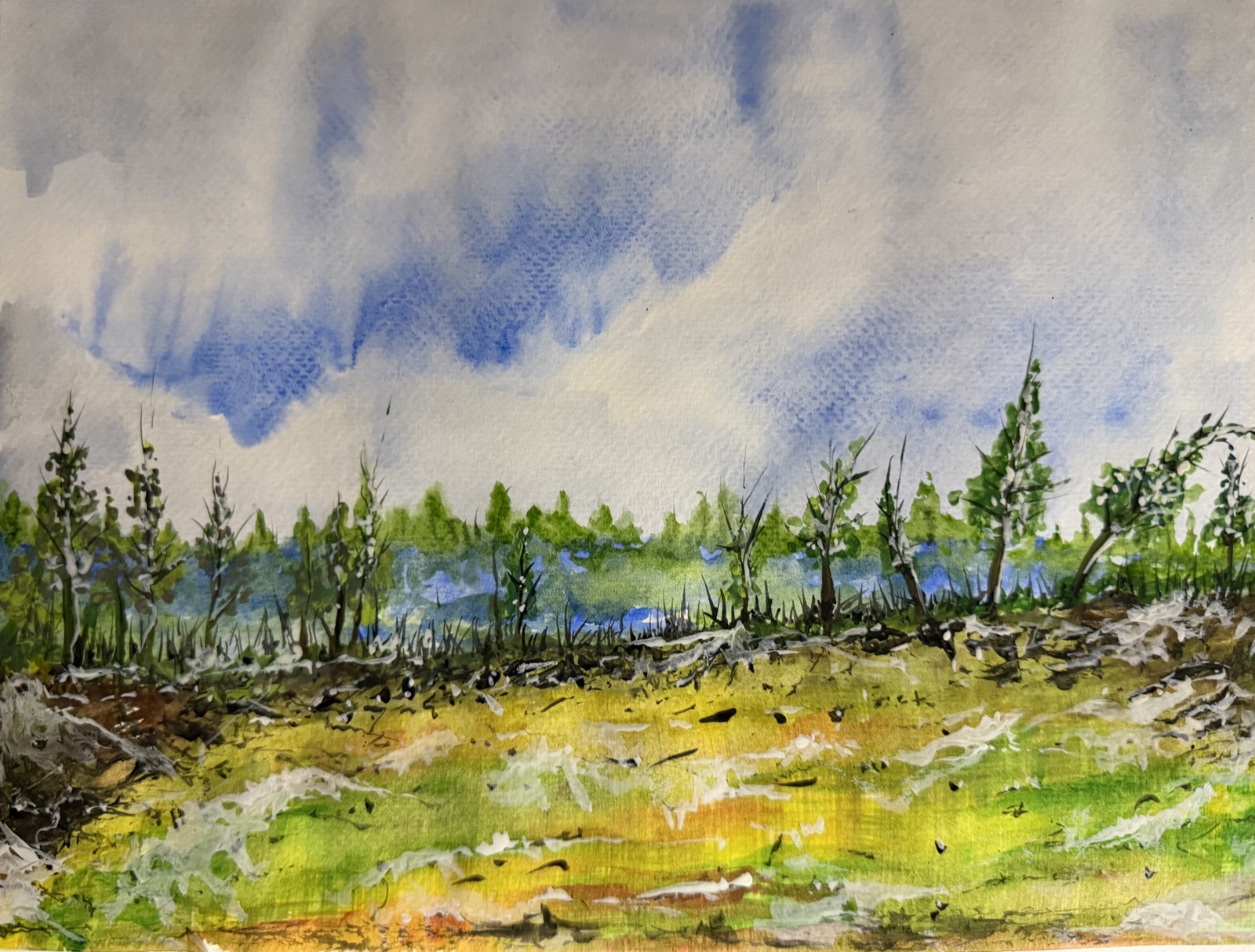 Clearing Storm Over the Meadow