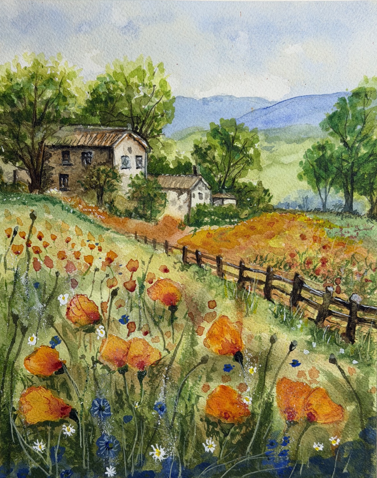 The Poppy Farmhouse