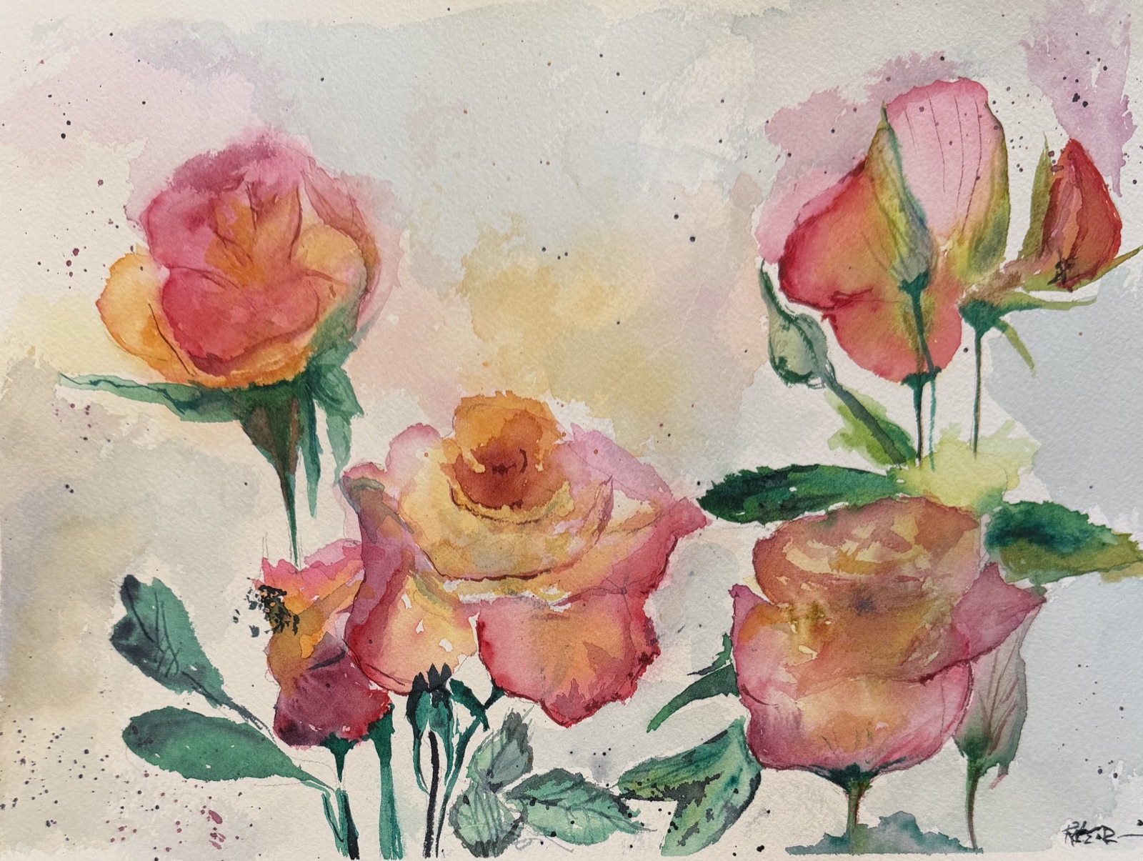Garden Roses