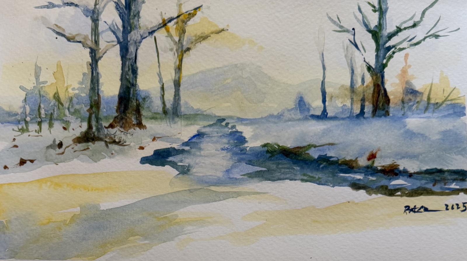 Winter Stream