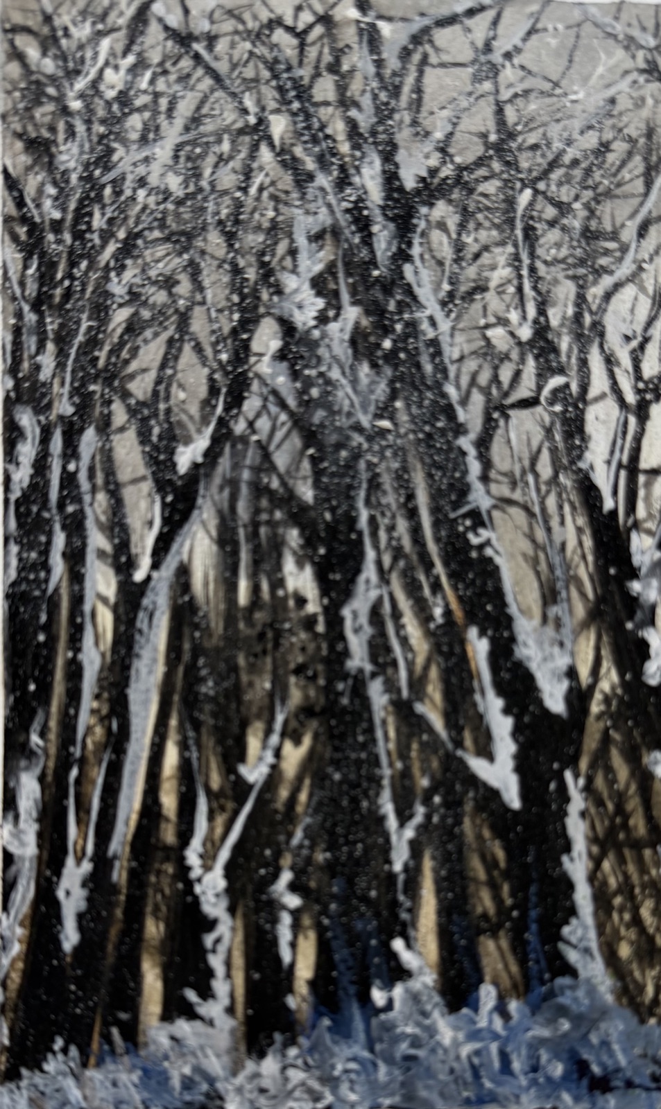 Frostbound Woods