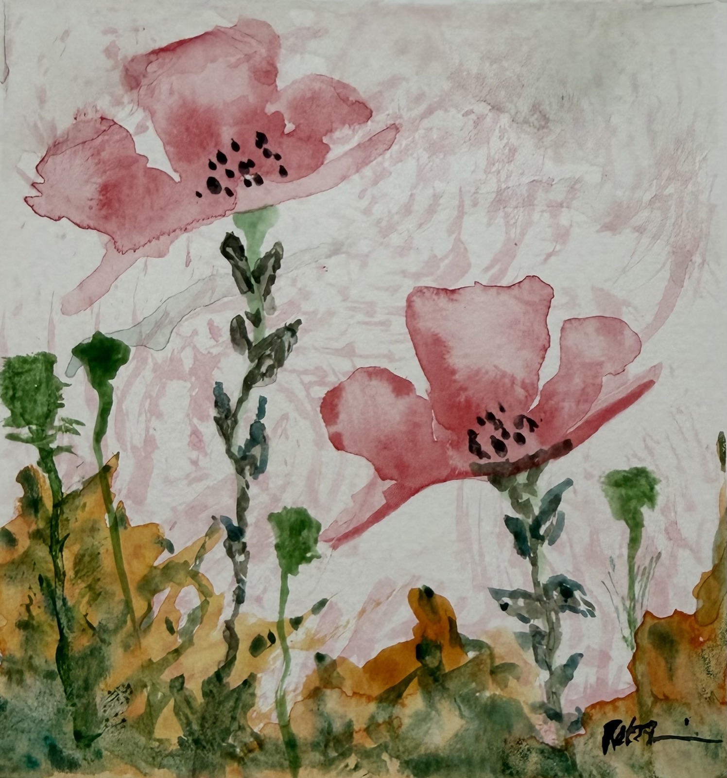Poppy Pair