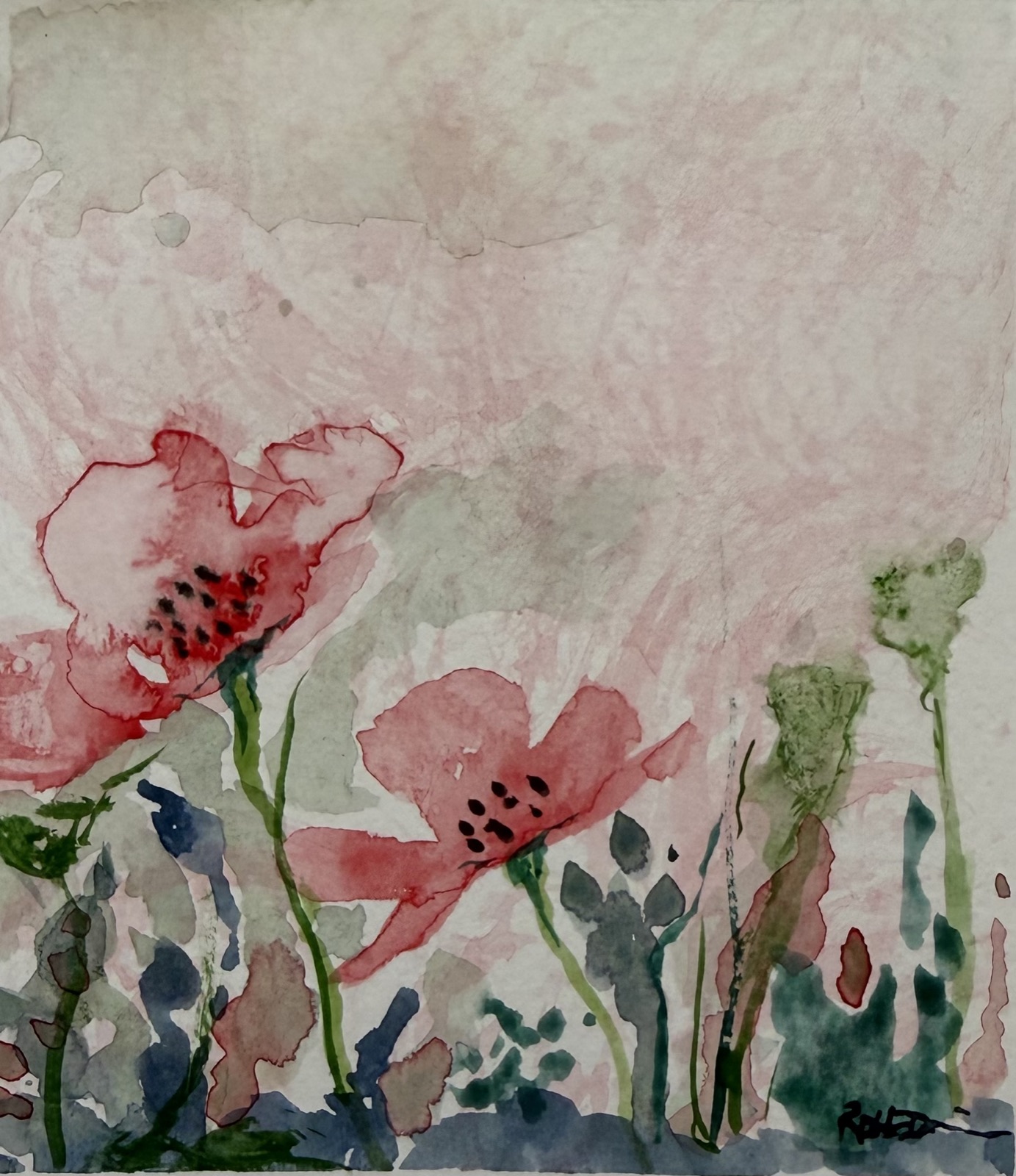 Poppy Whispers