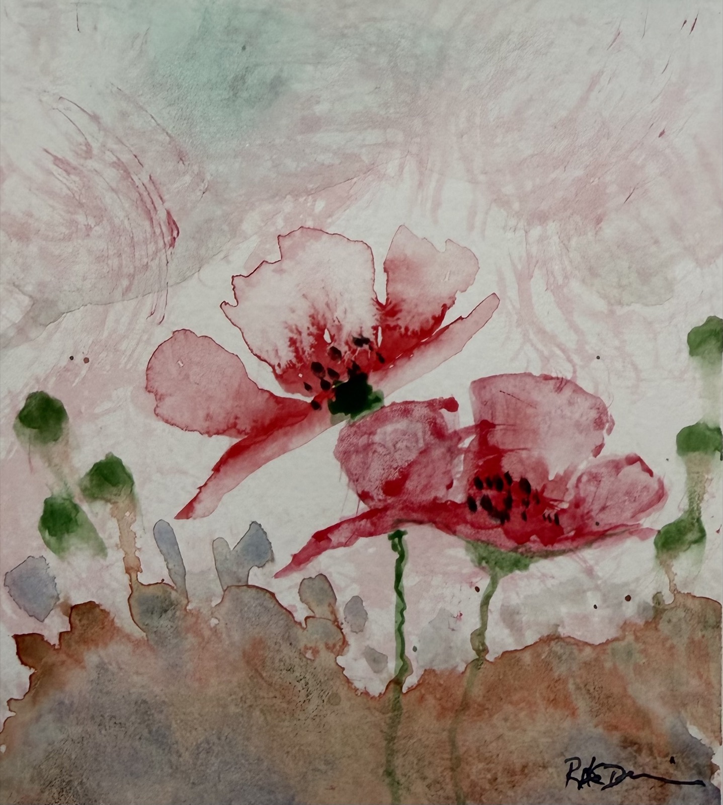 Wild Poppies