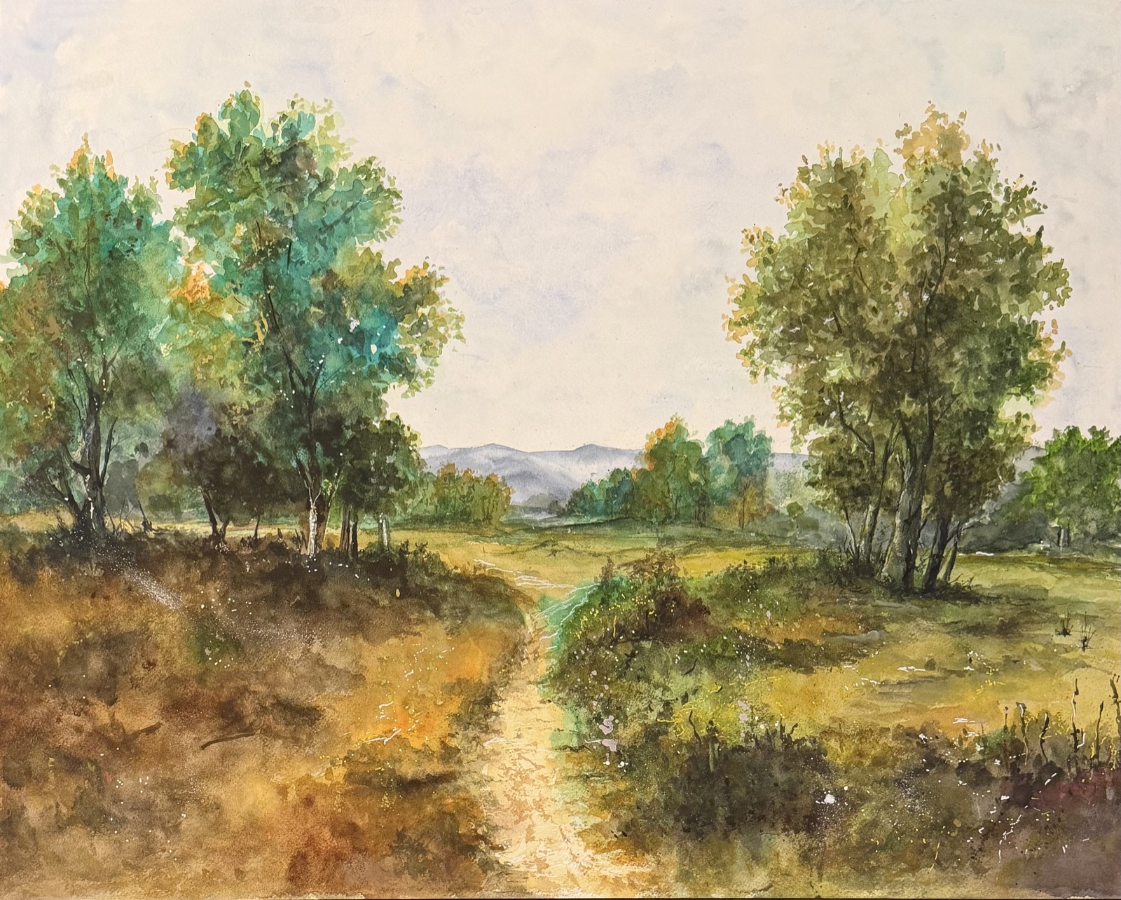 The Meadow Path